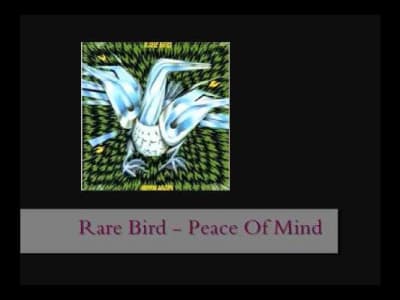 Rare Bird - Peace Of Mind