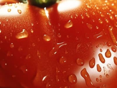🍅 Tomate, fruit ou légume ? Une réponse étonnante t'attend !