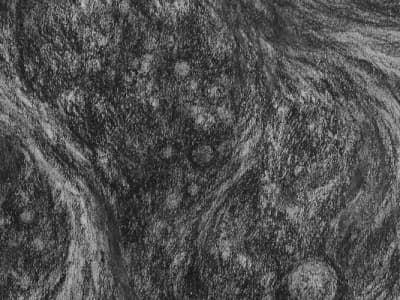 Nebula Orionis - The Black Shores