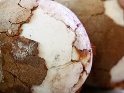 This &quot;Dinosaur Egg&quot; is One Of The Rarest Salts In The World