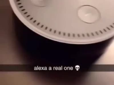 Alexa la cochonne