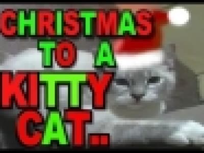 Christmas Kitty Song