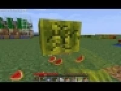Minecraft 1.8: Culture des melons